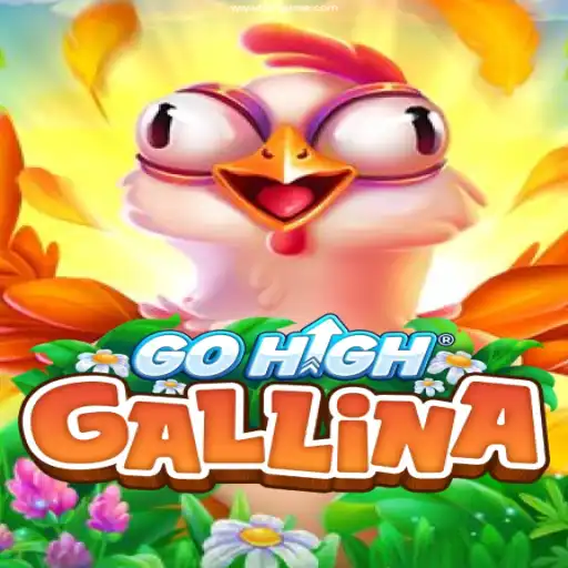 Immersing into the World of GoHighGallina: A Comprehensive Overview